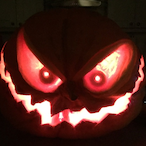Nicky_Pickle_'s Avatar'