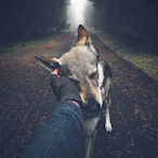 l zKN Reaper l's Avatar'