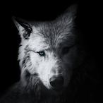 MyLuciano's Avatar'