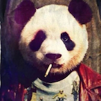 xP4nD4_BR1S4D0_'s Avatar'