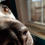 Armed_Gun_Man's Avatar