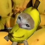 ThrashedDuck's Avatar'