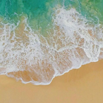 Rc_Andrew1's Avatar'