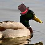 twopack......'s Avatar'