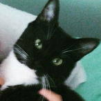 FixYourGamesUbi's Avatar