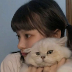 NieCcc_QwQ's Avatar'