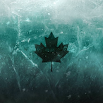 ToxicFrozt33's Avatar'