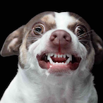 Dontpeakmyx1m's Avatar'