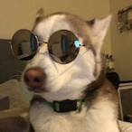 GoldnPonyboy's Avatar'