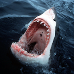 RekunDoDouce's Avatar'