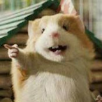 Xiaowei_ag's Avatar'