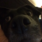 Zachy249's Avatar'