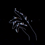 qukljh's Avatar'
