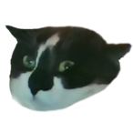 Poticha-1.2's Avatar'
