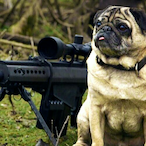 DuckSpremacy's Avatar'