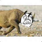 AngryRhino61's Avatar'