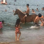 BrodyYukan's Avatar'