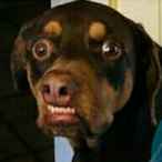 Shterby's Avatar'