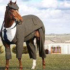 PetMyHorse's Avatar'