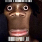 bakntr's Avatar'