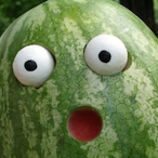 Fennnnnnnnnn's Avatar'