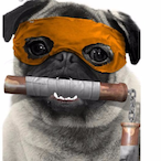 Stealthy_pug's Avatar'