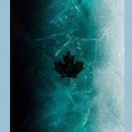 BabyGunner.'s Avatar'