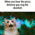 I_M_PIZZA_BOY's Avatar'