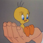 pop123456pop's Avatar'