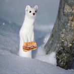 subsandwich99's Avatar'