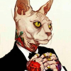noob_Alex's Avatar'