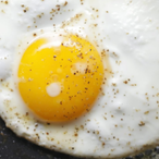TooSleepyToEgg's Avatar'
