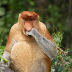 Yurko.Soprano's Avatar'