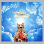 ehremon's Avatar'