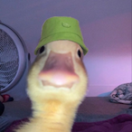 Jeff.E.Epstien's Avatar'