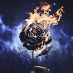 Lucip3r_Ro5e's Avatar'