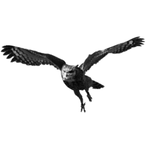 droptheghost's Avatar