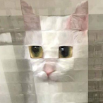 SarahpadPatjooe's Avatar'