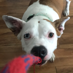 Filthy Blorgus's Avatar'