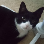 vonkingsley's Avatar