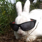 NikitaNyePoka's Avatar'