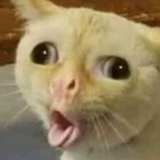 Wide-EyedErik's Avatar'