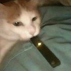 LowTierGod1234's Avatar'