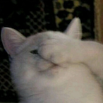 BURRRaA's Avatar'