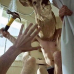 Jimbo-The-Bimbo's Avatar