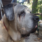 kutterreddogg's Avatar