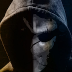 MmdDh1's Avatar'