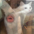 Andr4s_B4NN's Avatar'