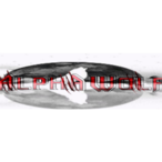 Alphawolf5520's Avatar'