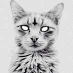 tristincain's Avatar'